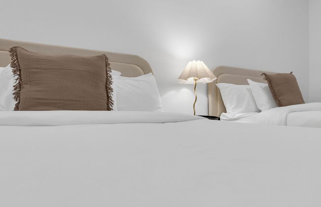 Bakan - Sainte Catherine - Photo 60