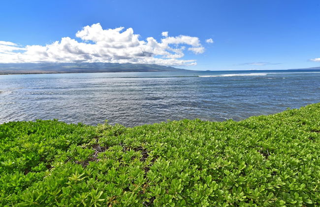 Island Sands 210 - Foto 58