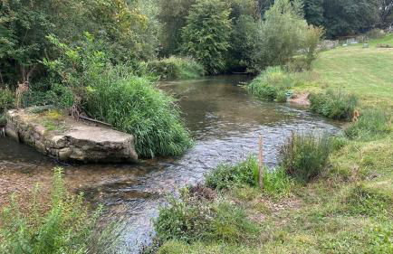 Farm woodland riverview cabin bbq firepit pet friendly - Foto 50