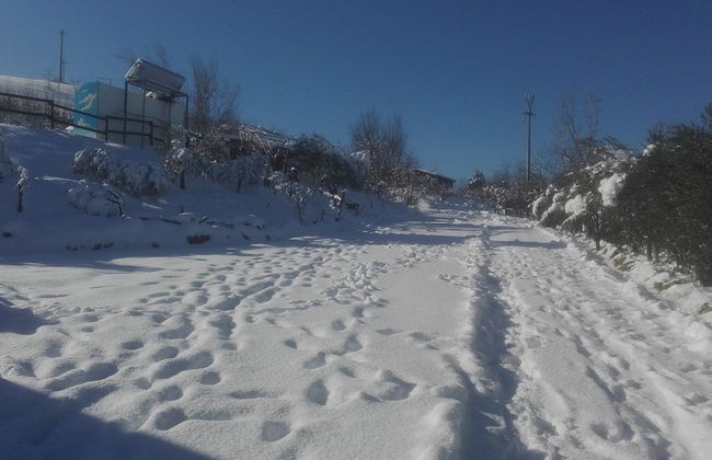 La Luna sul Trebbio - Photo 21