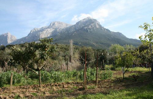 Villa L'Oliveto - Foto 10