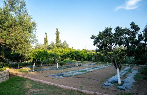 Georgias paradise villa and Garden - Foto 36