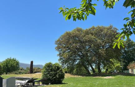 casa rural de un artista en plena naturaleza piscina y parque de esculturas en villarcayo - Photo 14