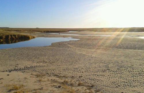 Zum Eulennest - Foto 31