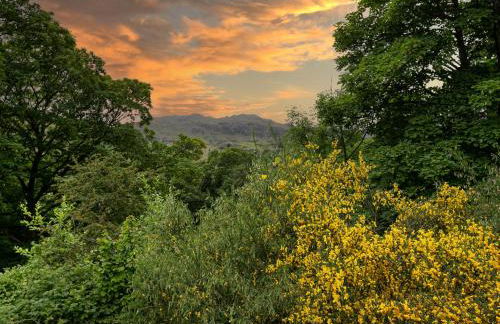 Little How - Foto 26