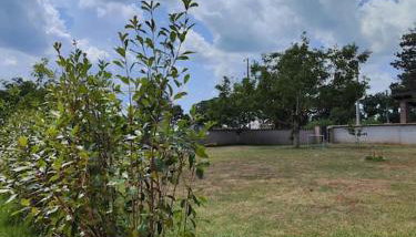 Apartman Luna - Foto 5