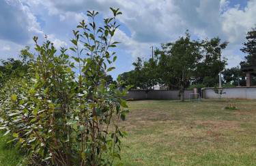 Apartman Luna - Foto 5