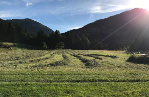 Chalet La Merlerie - Foto 41