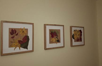 La Casa de los Jarijoles - Foto 26