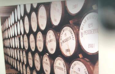 Herbert Place - Foto 53