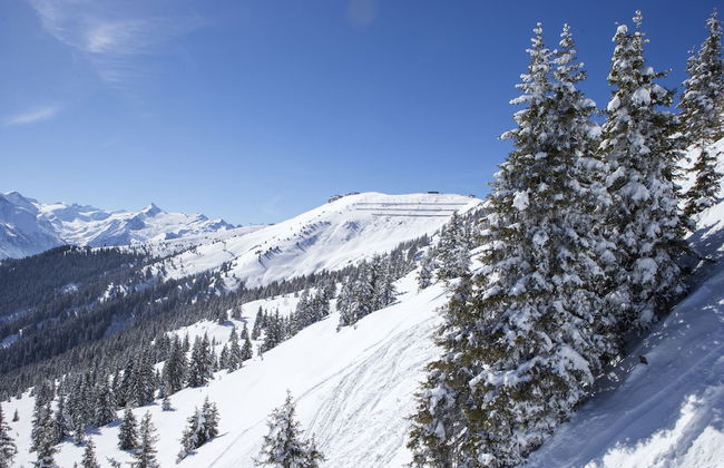 Aparthotel Waidmannsheil - Foto 44