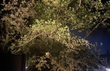 Beach House Pods - Foto 20