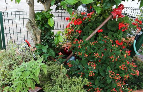 LIGURIA home - Foto 40