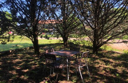 Apartman Miro - Foto 23