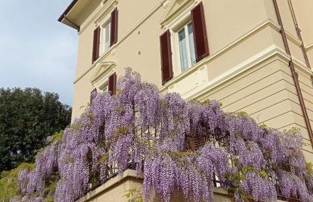 Il Pettirosso - Foto 22