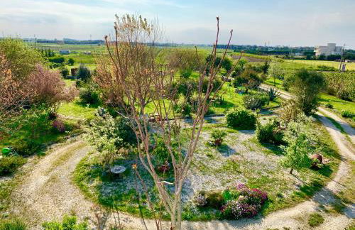 Salento LapezzaAculuri - Foto 37