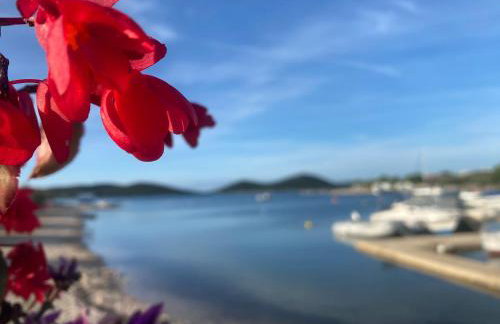 Amore del Mare, seaside family pace, free parking and wifi in Camp Dalmatino - Foto 14