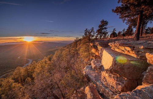 Forest Cabin 3 Bear's Den - Photo 25