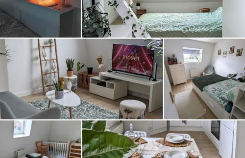 Le cosy botanique - Foto 2