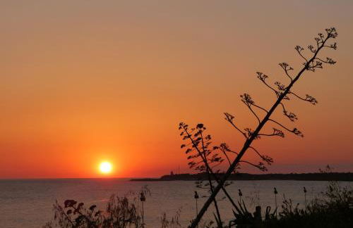 Apartamentos El Arrecife - Foto 61