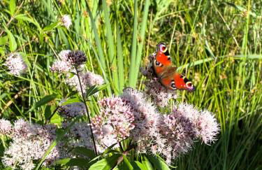 Ferienwohnung Rosche - Foto 28