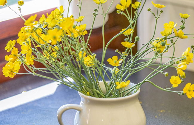 Cozy Chalet in Trois Ponts near Forest - Foto 26