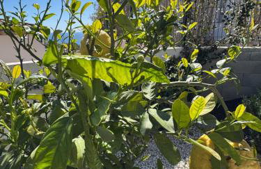 Appartements vue mer Rêves d'Azur Les Issambres - Foto 65