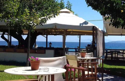 Ammos Studios and Apartments - Foto 63