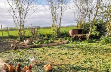 The Nook @ Rowan Tree Cottage - Foto 30