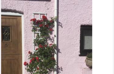 Red Rose Cottage - Foto 18