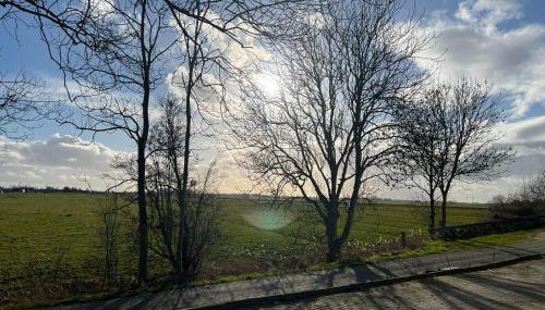 Idylle auf dem Reiterhof bei Husum - Foto 2