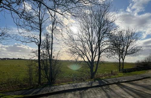 Idylle auf dem Reiterhof bei Husum - Foto 2