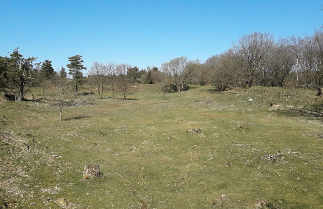 Bright Cottage Retreat in Silkeborg-by Traum - Foto 17