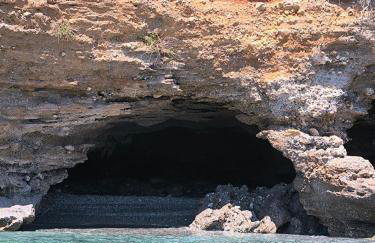 Mary's house - Photo 41