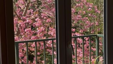 La fontaine à Chantilly - Foto 2