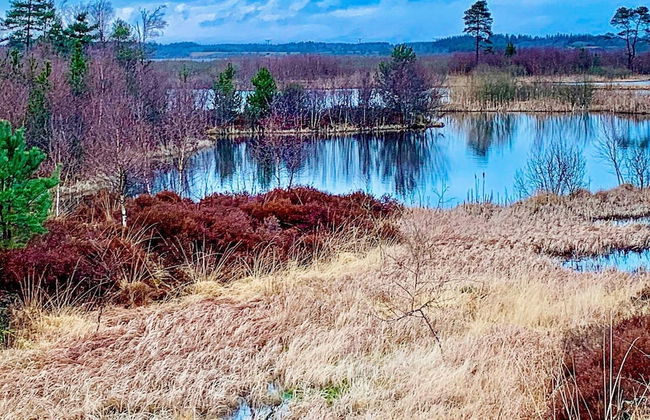 8 Person Holiday Home in Silkeborg-by Traum - Foto 38