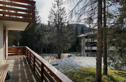 Quadrilocale Alpe Grostè - Serafini - Foto 18