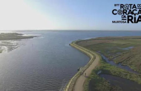 O CANTINHO DA RIA - JACUZZI with water at 35 degrees and POOL - Foto 43