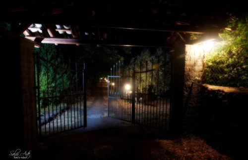 L'Antica Vigna - Foto 27