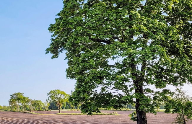 7 Person Holiday Home in Sjobo - Foto 23