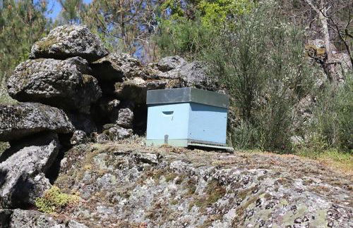 Villas da Quintã - Foto 34