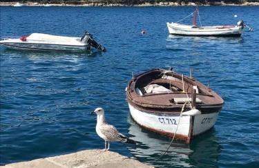 Apartments Kralj Ana - Foto 6