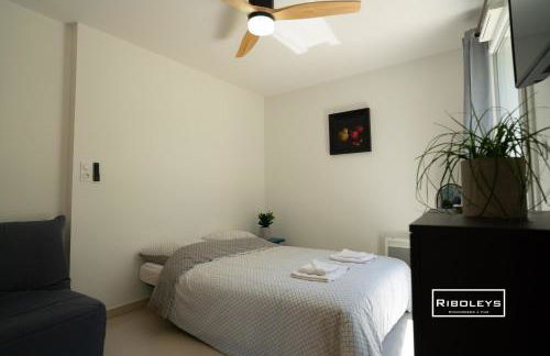 Riboleys -Superbe T1 à 100m de la plage - Foto 11