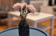 House - Sunlit haven with outdoor terrace, garage and metro 14, RER B - Foto 10