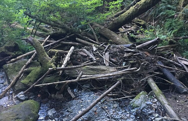 The Great Escape Secluded with Hot Tub - Foto 35