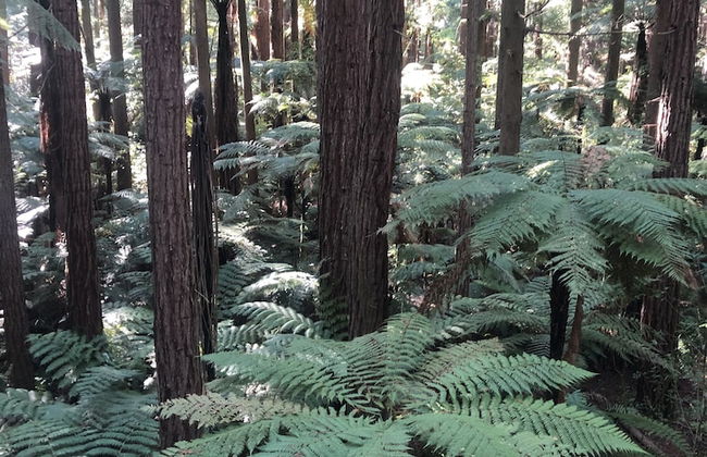 VacationStay on Lake Rd - Foto 24