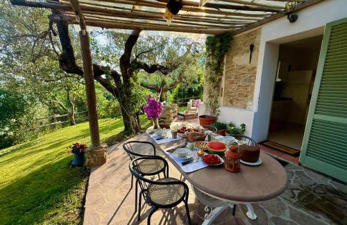 Agriturismo Villa Carducci - Photo 55