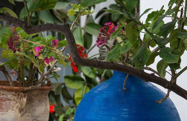 Roof garden Seaside lux Home - Foto 44