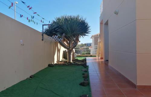 O DRAGOEIRO da Madalena! - Foto 9