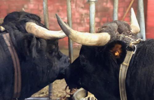 La Ferme du Grand Paradis - Foto 10